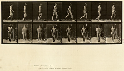 4 - Vol 1 - Plate 5